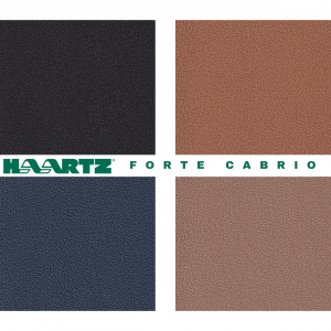 Haartz fotre cabrio title image